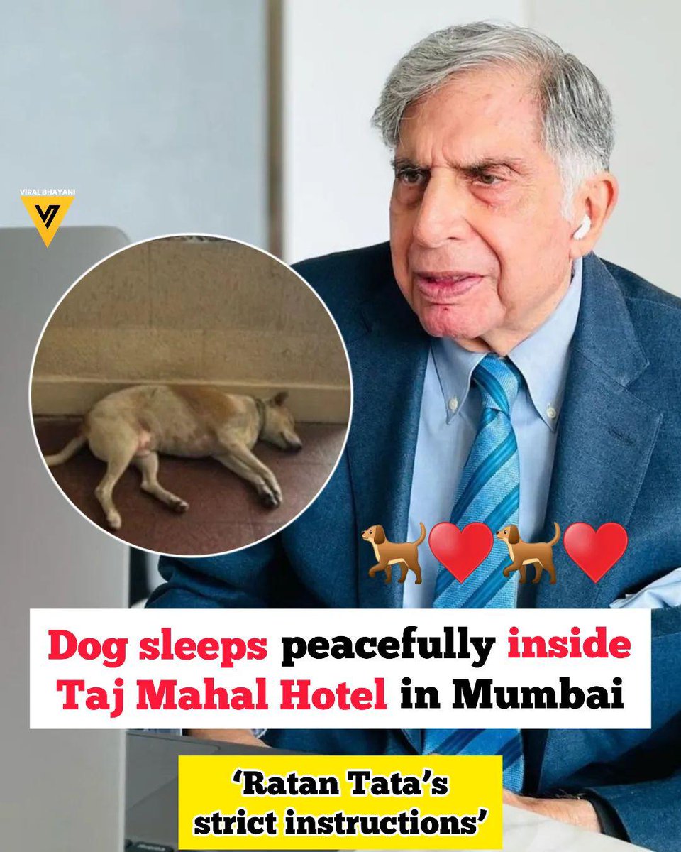 An HR professional recently stayed at the Taj Mahal Hotel in Mumbai and was surprised to find a dog sleeping peacefully at the hotel's entrance. Rubi Khan’s curiosity about the dog’s presence prompted her to inquire about it with the staff. They informed her that the dog had been