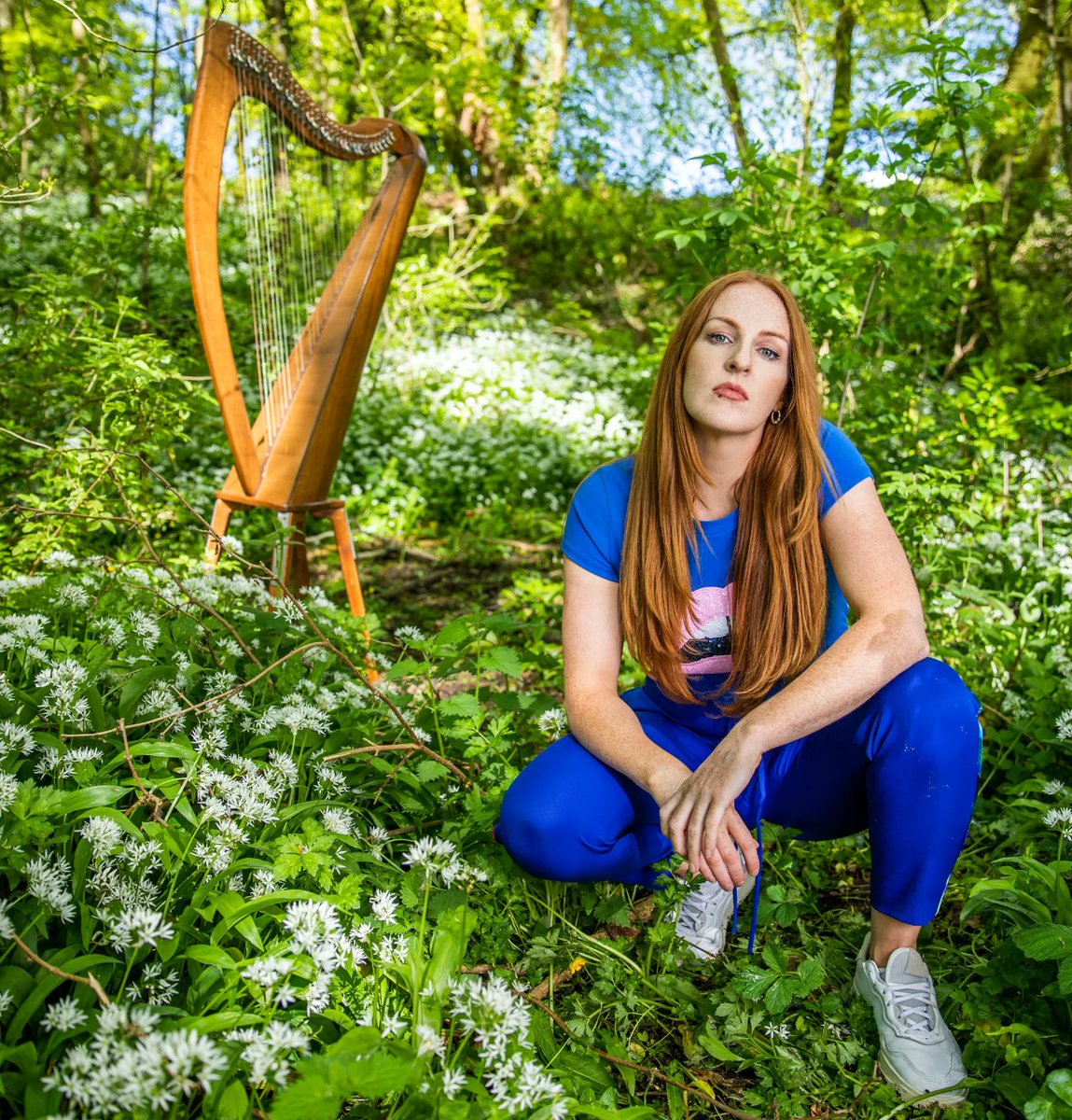 Harp Ireland tweet media