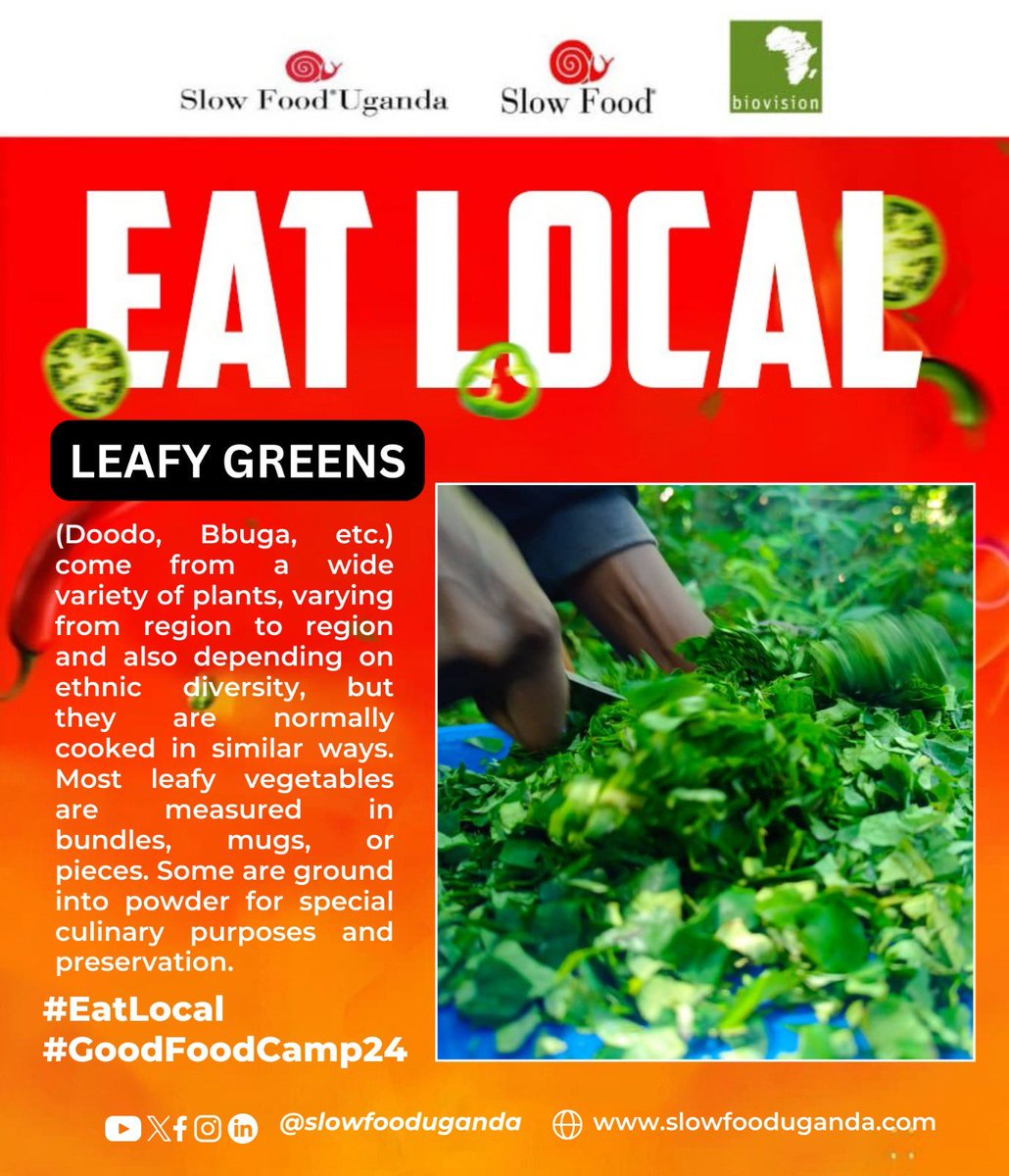 Traditional and indigenous foods hold the key to unlocking essential vitamins and minerals, combatting micronutrient deficiencies in staple foods. Embracing diverse and nutritious local cuisine is the answer to a healthier future. #EatLocal