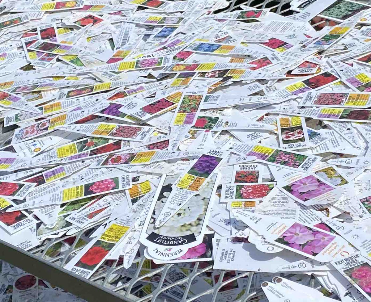 HutchinsonFarm's tweet photo. Thanks everyone for returning our tags, pots, and trays. We re-use them, so much better than having them end up in landfill!
We welcome them back all season long, please come at your convenience, and if we’re closed, just put them in a sensible place, we’ll find them! https://t.co/bOaNkgDbfD