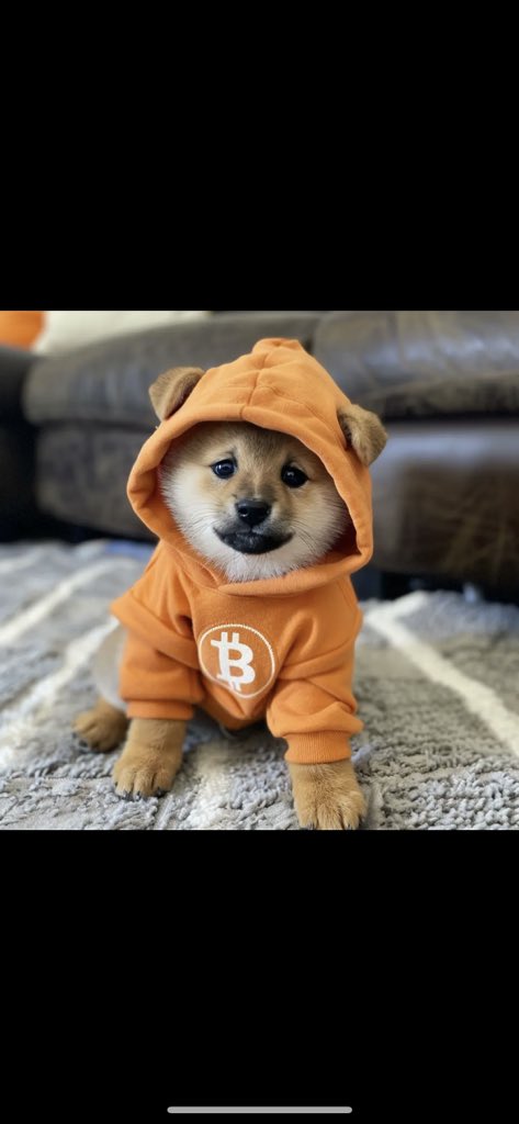 fomobq's tweet photo. @bitcoinnews @LeonidasNFT https://t.co/BajDfE8qKm