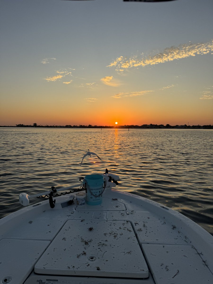 ChartersEpic's tweet photo. Good morning.

#goodmorning #sunrise #perfectview #gonefishing #inshorefishing #floridasunrise #lovewhereyoulive #saltlife #minnkota #humpbackbaitnet @RealSaltLife @MinnKotaMotors https://t.co/bZ4CrbCCH4