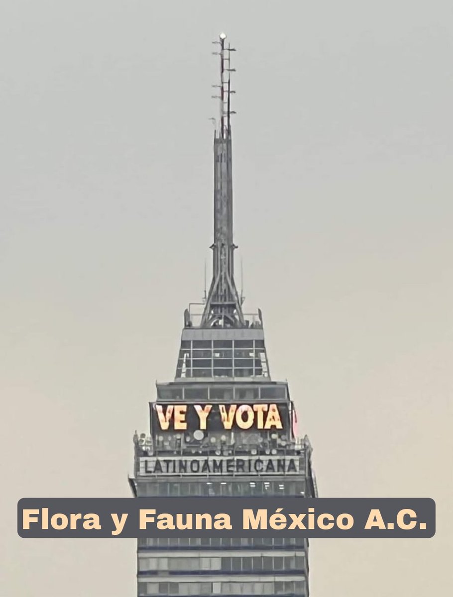 🌿✨ Flora y Fauna México te anima a participar este 2 de junio. 
¡Vota por el Plan C para presidente, senadores, diputados y alcaldes! 
¡Tu voto es clave para avanzar hacia un futuro mejor! 🌎💚 
#PlanC #ParticipaciónCiudadana #FuturoSostenible
