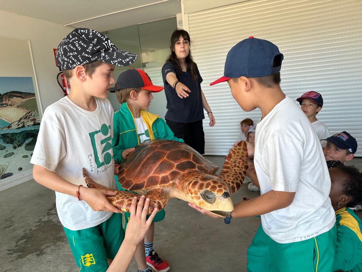 Els nens i nenes de Cicle Inicial han visitat el CRAM. Han conegut a les protagonistes d'aquest centre, les tortugues. També han fet un simulacre d'actuació en cas d'emergència davant l'aparició d'un animal en perill a la platja. Ho han passat molt bé!