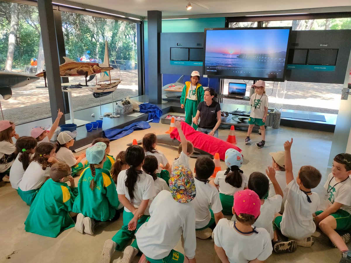 Escola PROVENÇALS tweet media