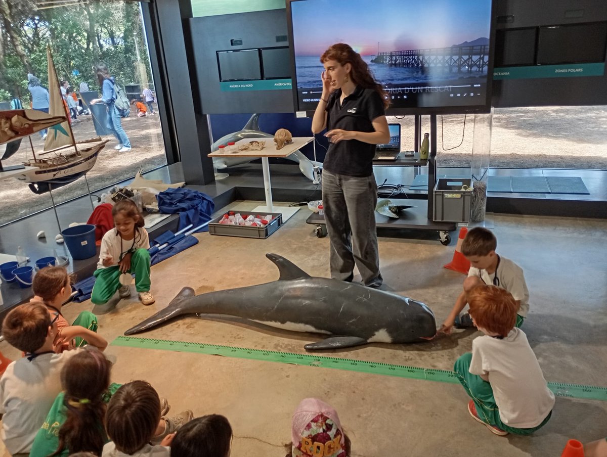 Escola PROVENÇALS tweet media