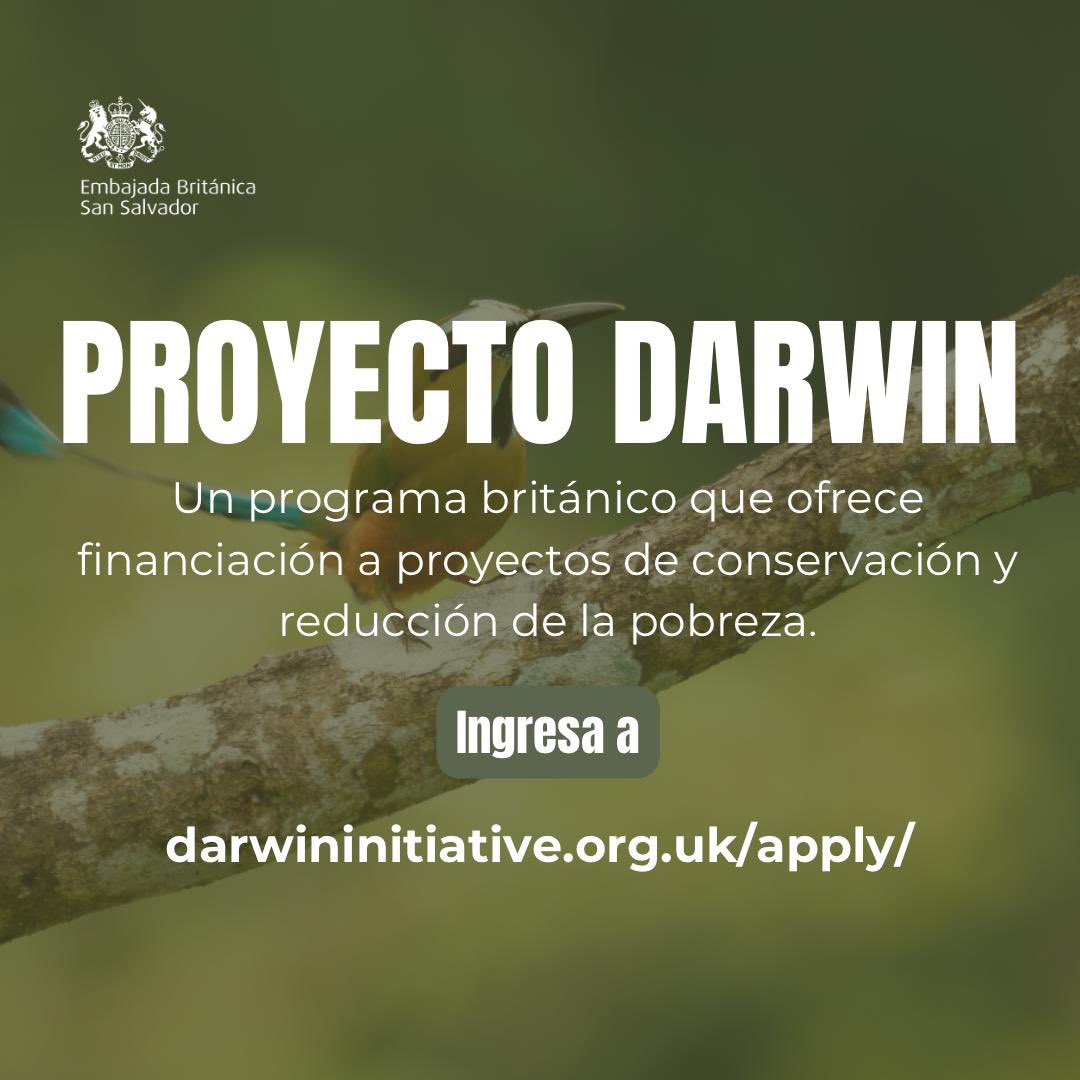 ¿Tienes un proyecto que apoye la conservación de la biodiversidad? ¡Te estamos buscando! 🌿📢

Forma parte de la Iniciativa Darwin, un programa del Reino Unido 🇬🇧 que financia proyectos de conservación y reducción de la pobreza.

Inscríbete aquí 👇
darwininitiative.org.uk/apply/