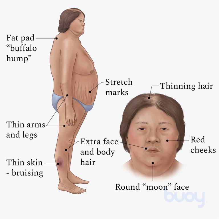 Dr Ihab Suliman tweet media