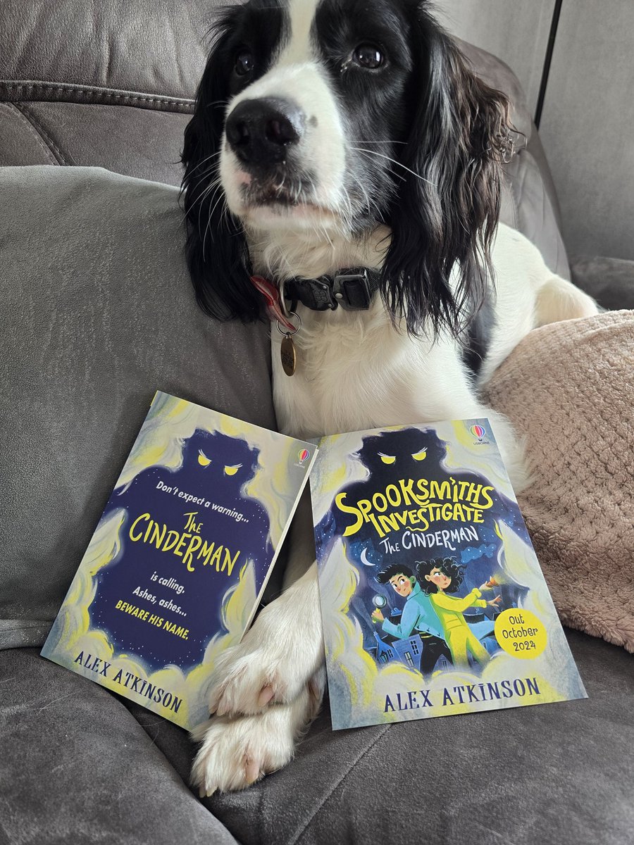 Brew_Fiction's tweet photo. Luna wanted to be part of my book shoot 🤣 thank you to @Usborne for the early copies of #heartseer and #spooksmithsinvestigatethecinderman @RowanFoxwood #alexatkinson https://t.co/7RJdrnSy3J