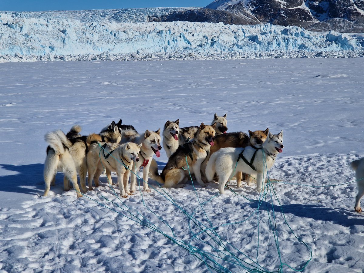 ECONOVO - DNRF Center of Excellence tweet media