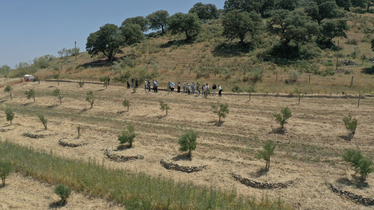🤝La Noria avanza en su estrategia para impulsar la #custodiadelterritorio con una iniciativa para la mejora de la biodiversidad en Montecorto - <a href="/AytoMontecorto/">Ayto. de Montecorto</a>

🌳<a href="/AlmijaraAmma/">Asociación Almijara</a> desarrolla el proyecto, subvencionado por <a href="/FundlaCaixa/">Fundación ”la Caixa”</a> en <a href="/FincaLaDonaira/">La Donaira</a> 

➡lc.cx/RUYa5C