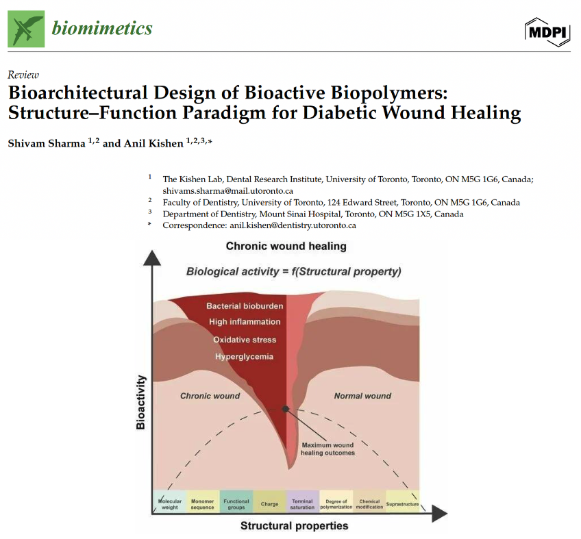 KishenAnil's tweet photo. Congratulations @shivam__mudgal for his recently published article- Bioarchitectural Design of Bioactive Biopolymers: Structure–Function Paradigm for Diabetic Wound Healing. Here is the link: https://t.co/aeWwzRpb1u https://t.co/YPsld5xBN6