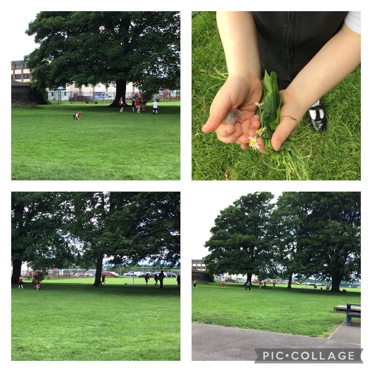 Mrs Peterson & P2P tweet media