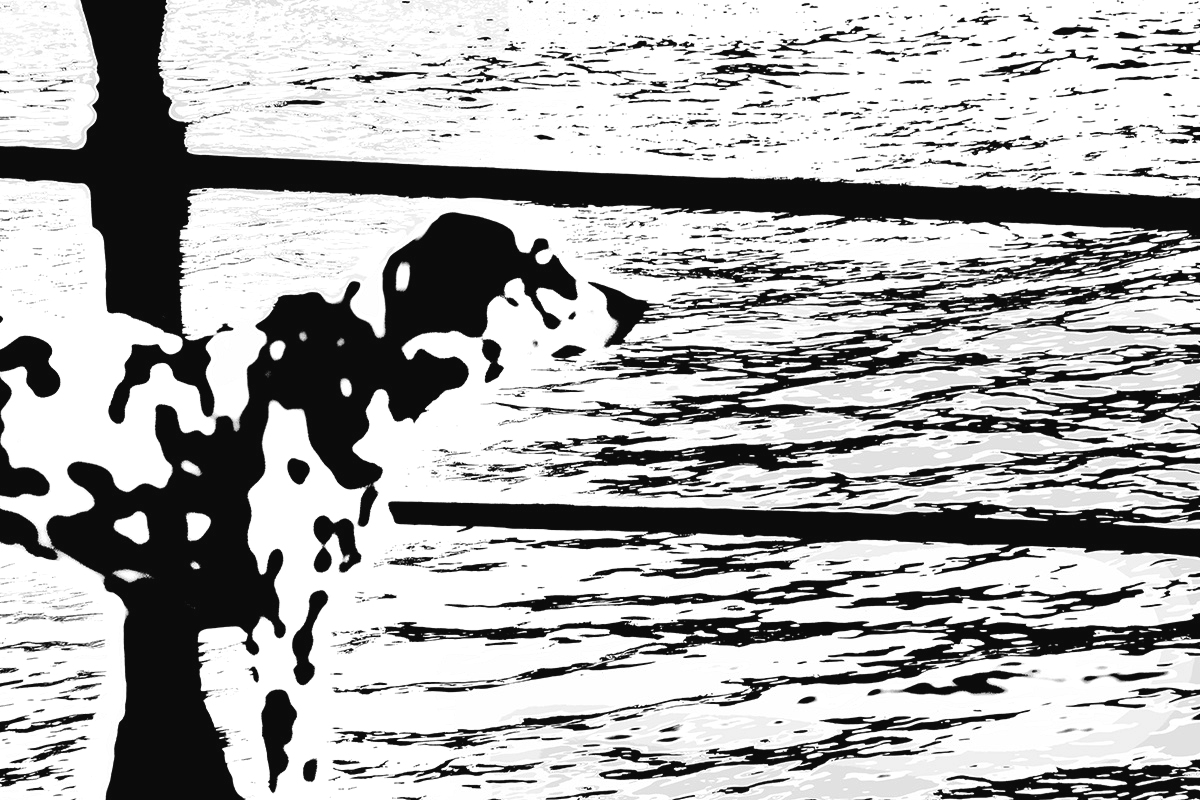 wojrut's tweet photo. #photo 5280 x 3520, 180 dpi
#photoprint up to 150 x 100 cm
#art #photoart #linearart #bw #blackandwhite #patterns #kształty #chameleon #kameleon #dalmatian #dalmatyńczyk #SigmaSD14 11.10.2008 #Amsterdam, NL https://t.co/z30wPIKBXx