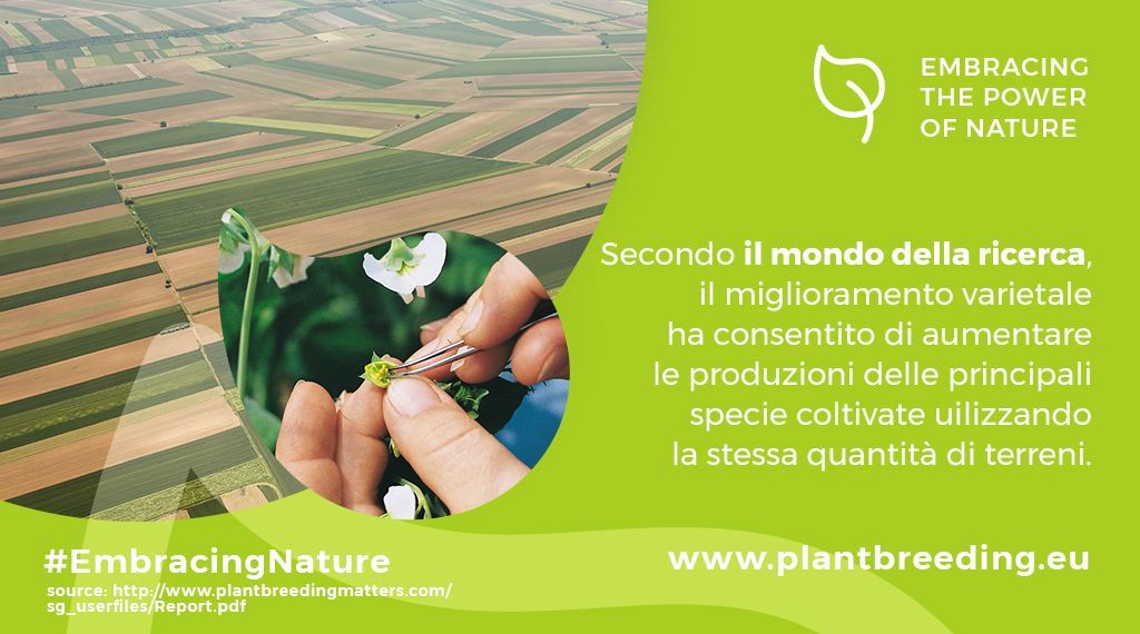 Aumentare le rese utilizzando la stessa quantità di terreni: è questo uno dei risultati che possiamo raggiungere grazie all’#InnovazioneVegetale 

#EmbracingNature