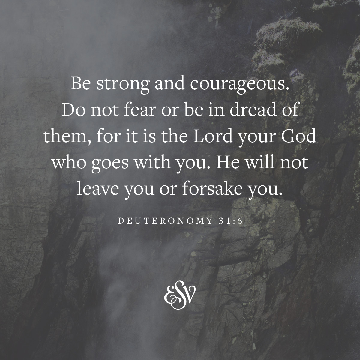 Be strong and courageous. Do not fear or be in dread of them, for it is the Lord your God who goes with you. He will not leave you or forsake you. 
—Deuteronomy 31:6 ESV.org

#Verseoftheday #ESV #Scripturememoryverse #Bible