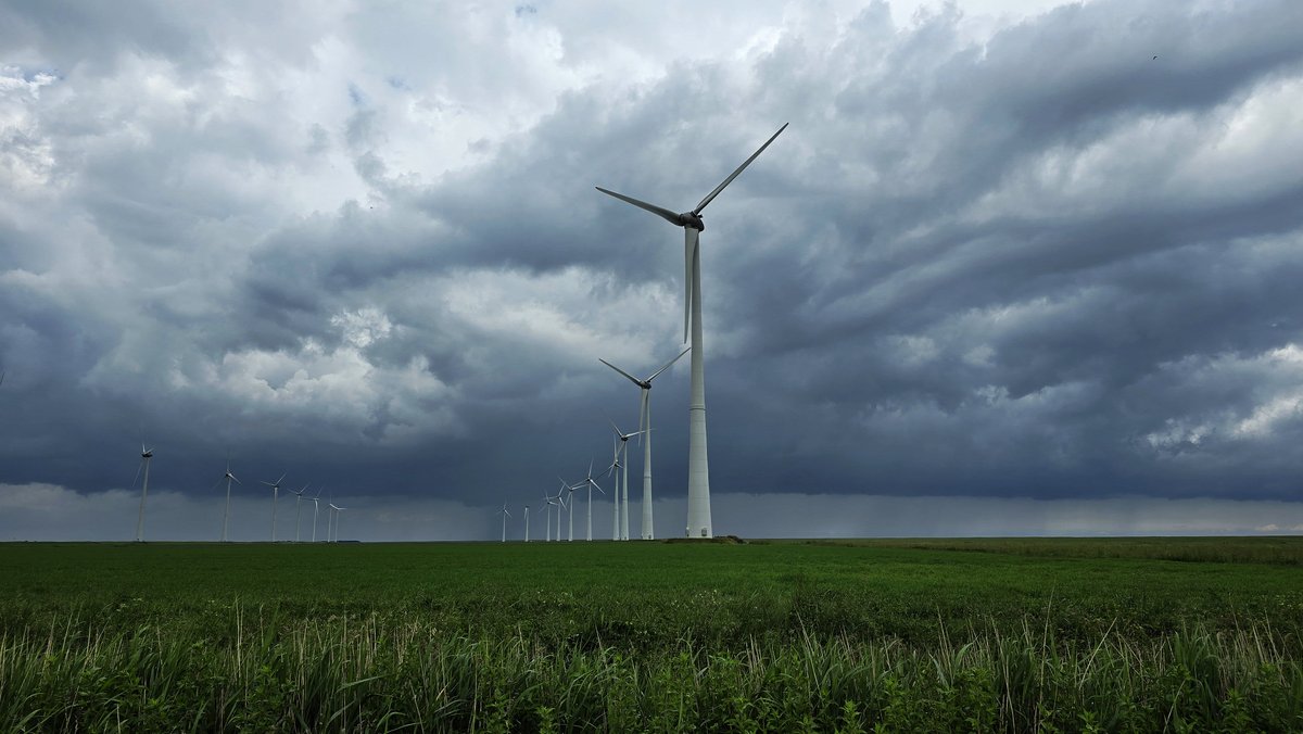 Meteo Roodeschool tweet media