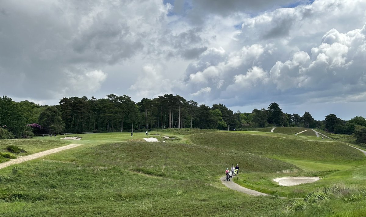 Tom Stidder tweet media