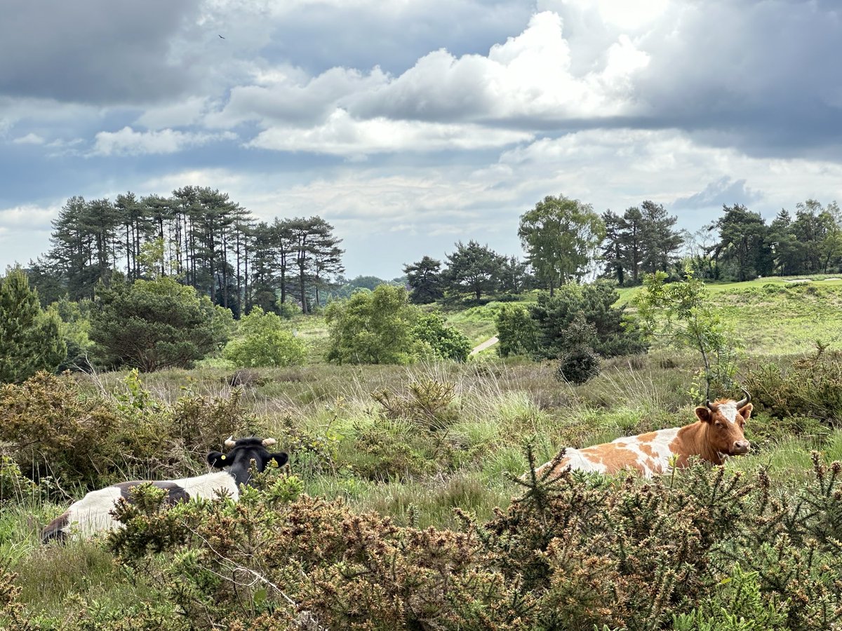 Tom Stidder tweet media