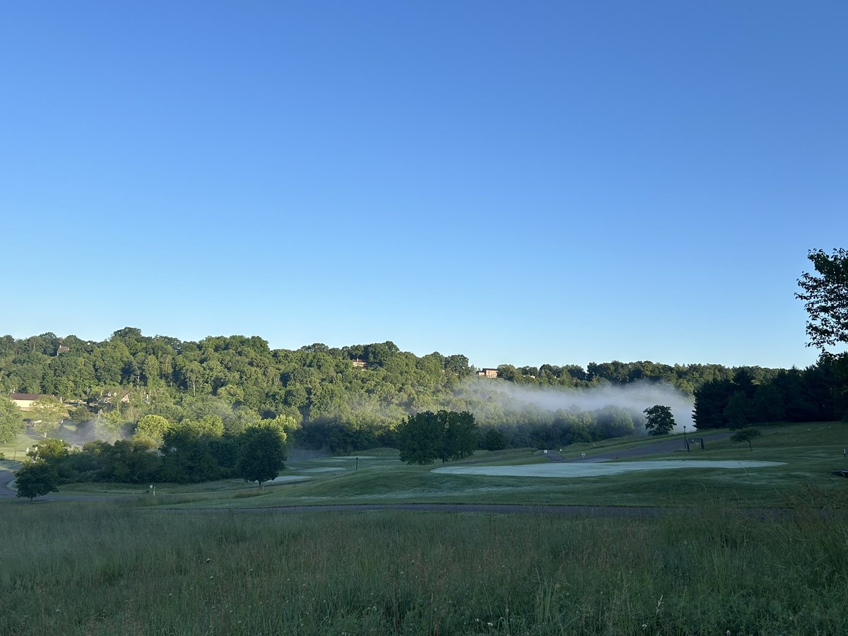Oak Shadows G. C. tweet media