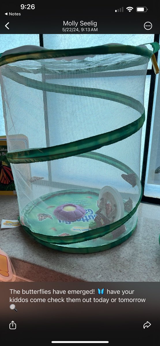 LifeLabKids's tweet image. As we close out Mental Health Awareness Month our kiddos at LifeLab Kids are having a blast watching their caterpillars evolve. Swipe to the last slide for a beautiful surprise 🦋🦋🦋🦋🦋

#mentalhealthawareness #naturebreak #springtimevibes #therapyforkids #ferndale