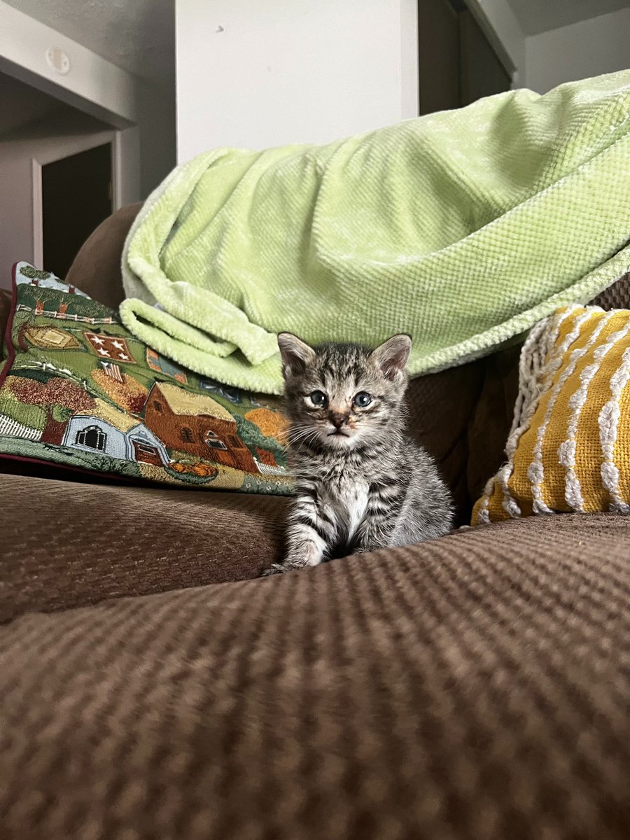 i now have a son named sweet thai chili chicken wing