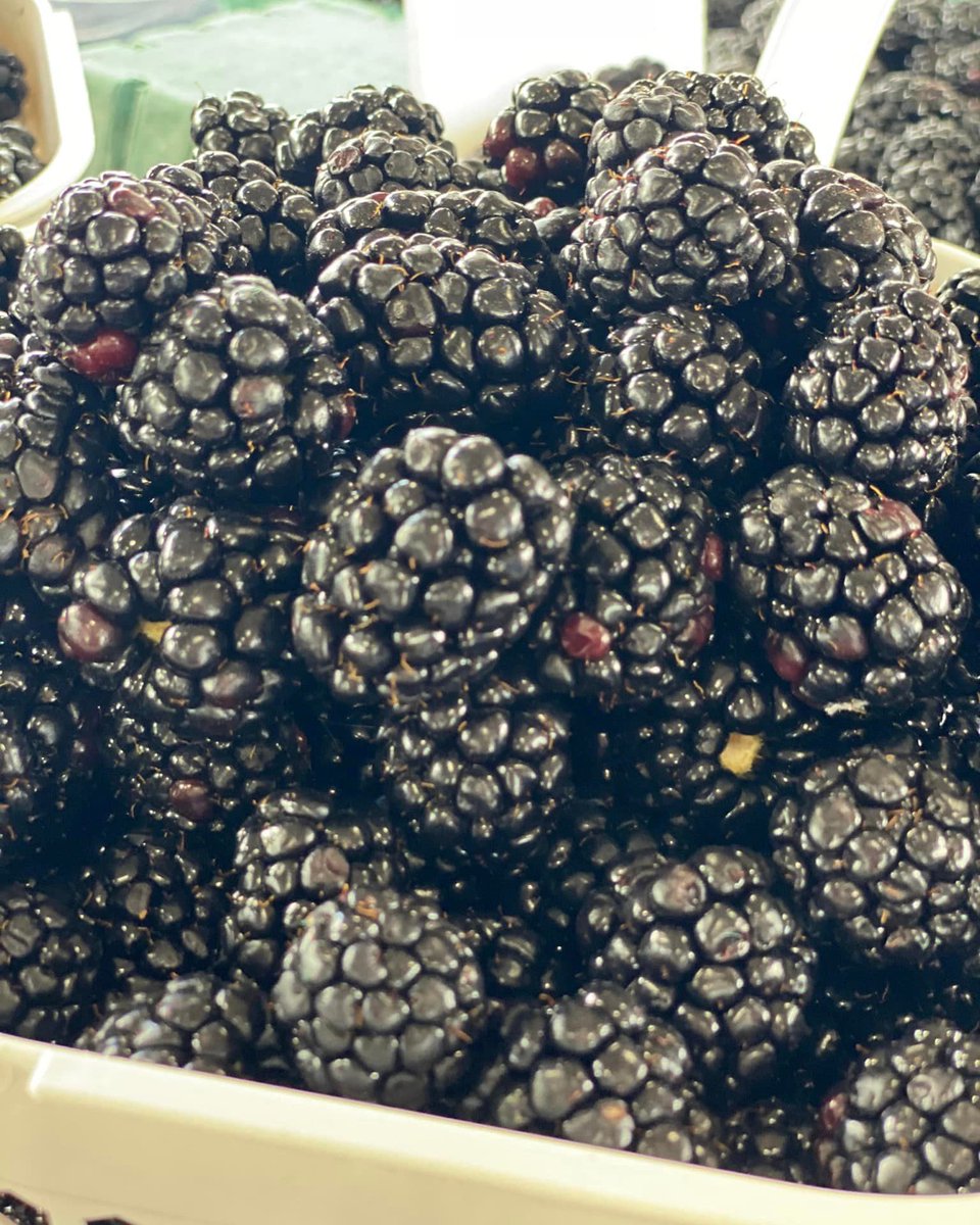 Wondering what's available at farmers markets across the state next month?! We are so glad that you asked! Visit a market or roadside stand in your area to find cabbage, beets, raspberries, cucumbers, eggplants, plums, blackberries, sweet corn and more! #BuyLocal #NCAgriculture