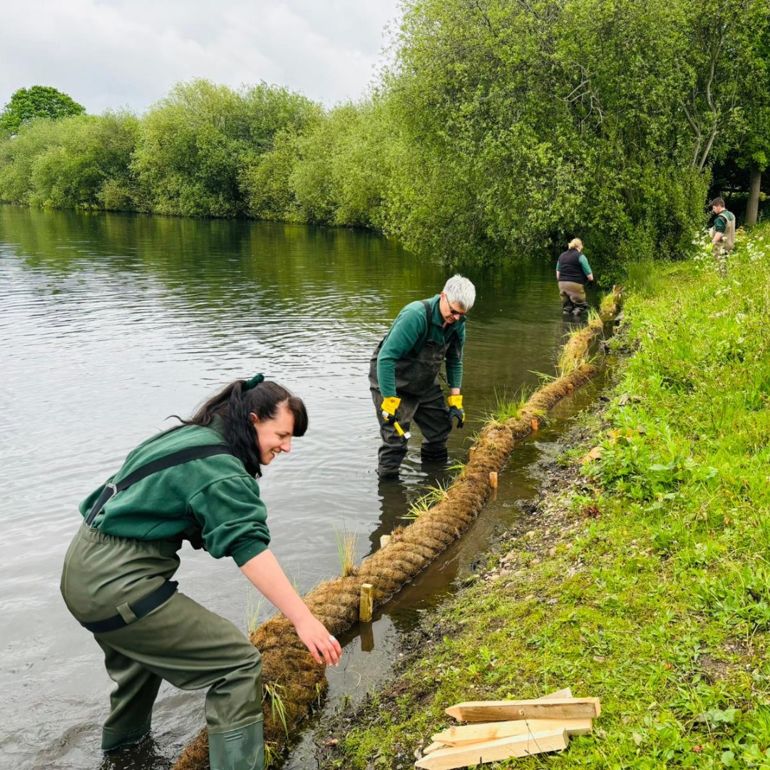 countryparks's tweet photo. 🪲🪴Earlier this month, colleagues from across our service waded in to install 240 metres of coir rolls around sections of the perimeter of three lakes at Kingsbury Water Park. Read more at https://t.co/OlcsB5o7SN
#ConservationWork #CountrysideManagement #WetlandsHabitats https://t.co/xcEaGGE8Jf