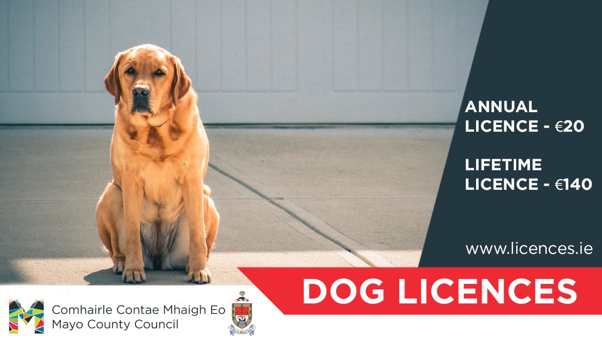 We would like to advise dog owners that our dog wardens will be in Newport & surrounds next week Dog licences can be purchased at licences.ie or from your local post office Annual licence - €20 Lifetime licence - €140 On the spot fines of €100 may be issued