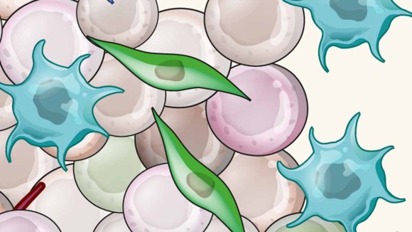 Amazing to see our review article <a href="/NatRevMater/">NatRevMaterials</a> about #brain #cancer nanovaccines - rdcu.be/dIOYc - being part of the collection Cancer at <a href="/NaturePortfolio/">Nature Portfolio</a> 👉 nature.com/collections/bp… <a href="/nova_medschool/">NOVA Medical School</a> <a href="/NOVAunl/">NOVA</a>