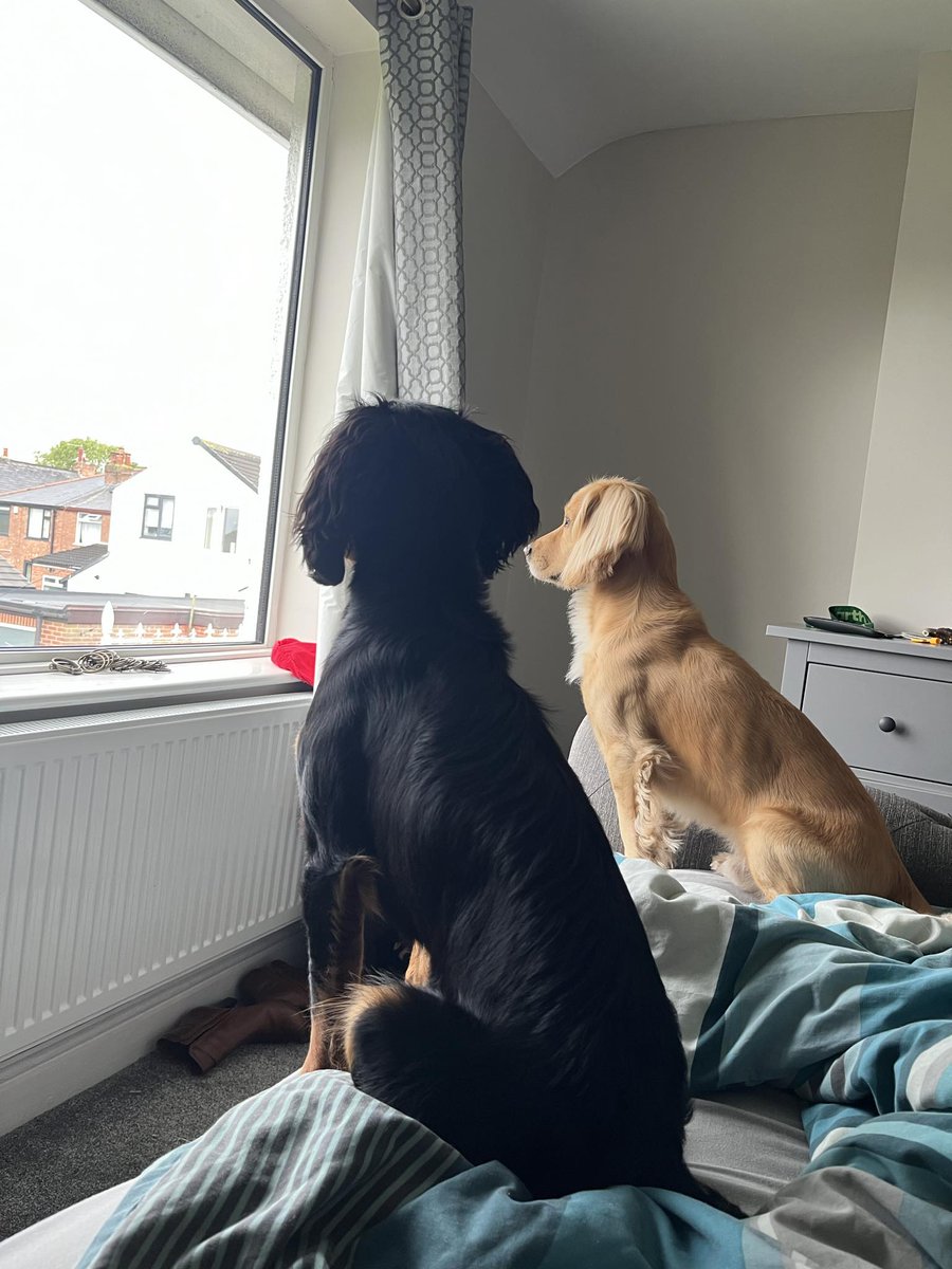 Whilst Daddy is at work we are on neighbour hood watch.