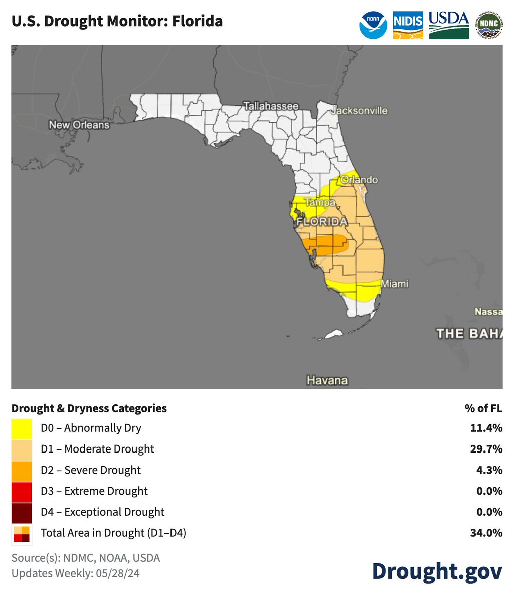 Spotlight on the FL peninsula, which has missed out on much of the spring precip and is the only area w/ drought in the eastern US. 34% of FL is in #drought, including a small pocket of Severe Drought (D2) just added to the Gulf Coast. drought.gov/states/florida @NOAA @SERCC