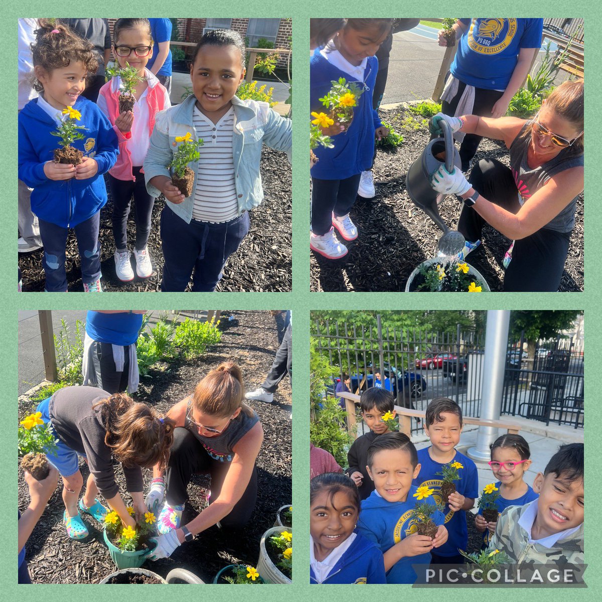 PS66QLovesTheirCommunity❤️ tweet media