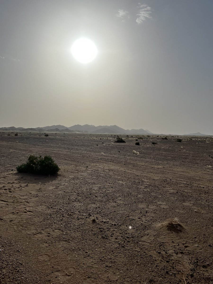 مـشـعـل tweet media