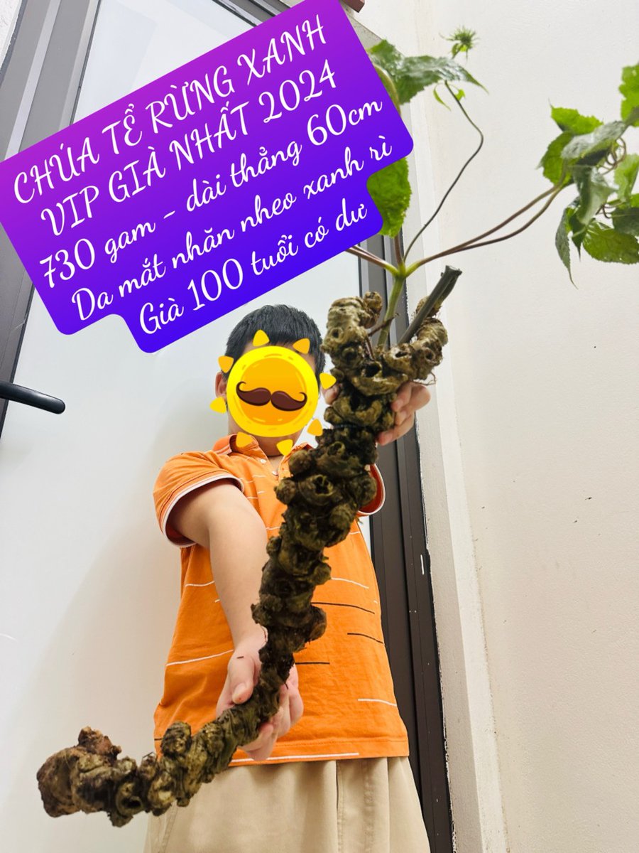 Ai đó cần thì ib cho m