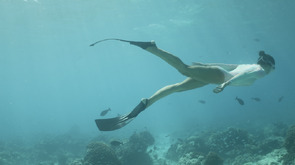 Eric PAQUIN tweet media