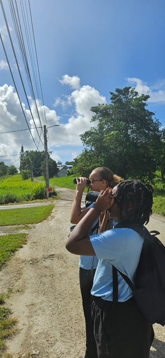 #Semainefrancophonedelaclassedehors  du 20 au 27 mai.
✅Randonnée ce mardi 21 mai en compagnie de Mr Leopold du service environnement de la ville de Morne à l'Eau de l'association Kabrit, le long du canal  Perrin.
 ✅Observation  d'oiseaux avec jumelles.
<a href="/LETVal3/">Corinne LETIN</a> 
<a href="/AcGuadeloupe/">Académie de la Guadeloupe</a>