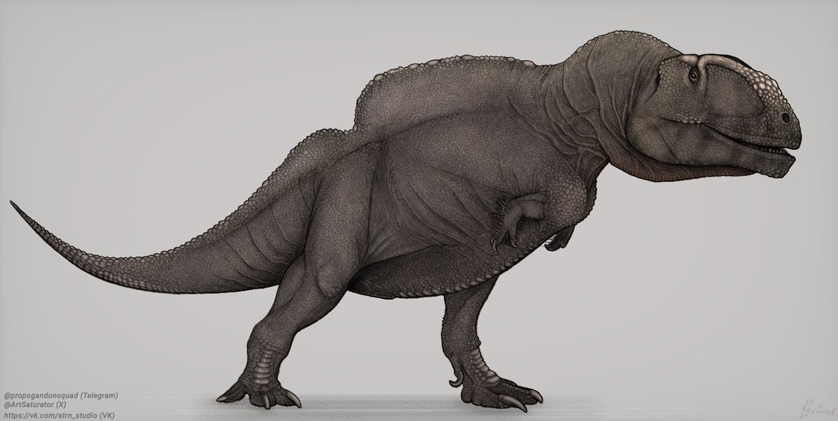 ArtSaturator's tweet image. TOUCHDOWN Carcharodontosaurus saharicus reconstruction with huge spine like other African fauna