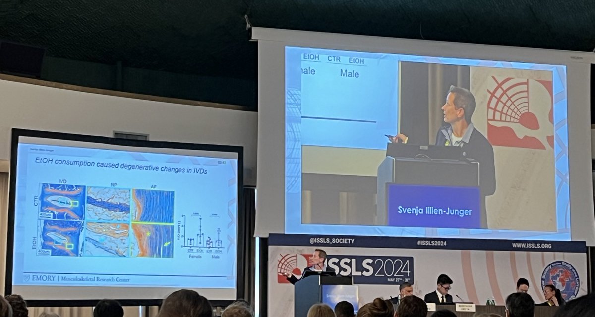 Fascinating study of the affect of chronic alcohol consumption on #ivddegeneration in mice presented by the Prof. Svenja Illien-Junger #ISSLS2024