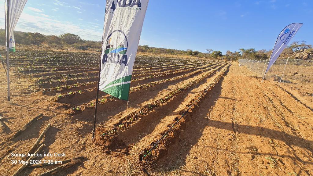 The President commissioned a fishery and solar powered horticulture project at Makumimavi Primary. The project is being packaged as inclusive empowerment based education project.