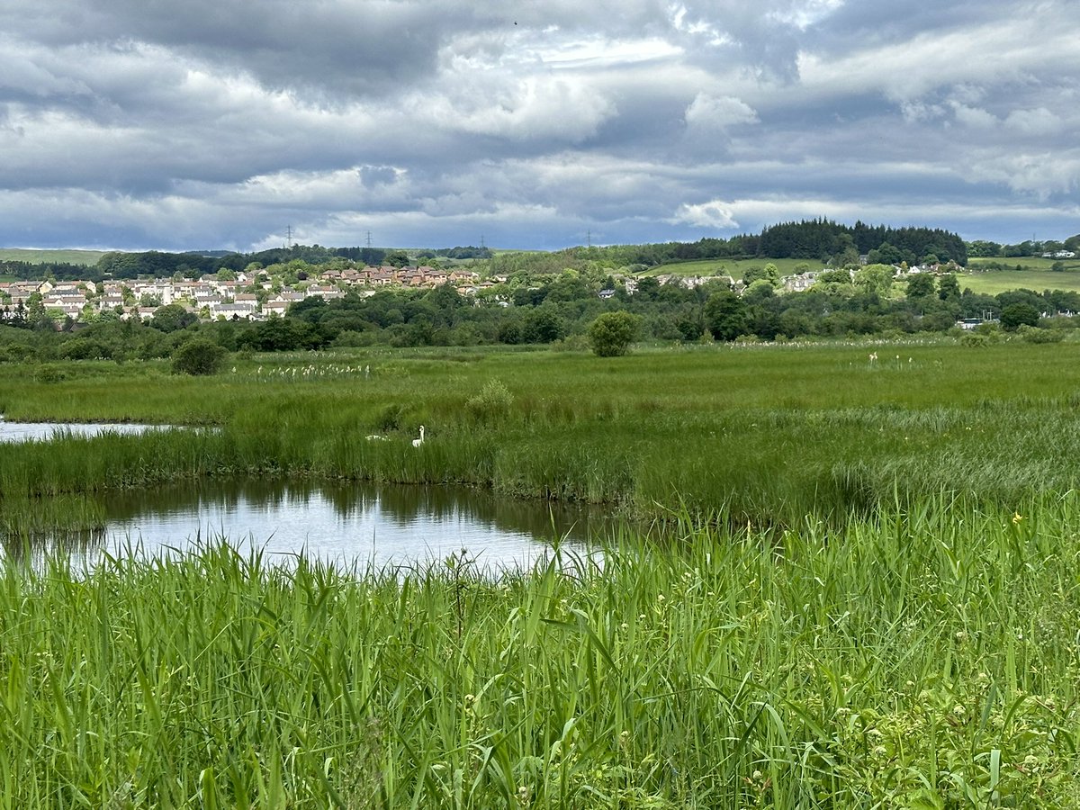 Pit stop between campaign sessions at beautiful @RSPBLochwinnoch 🥰🦆🐦‍⬛🌹 #VoteScotLab24