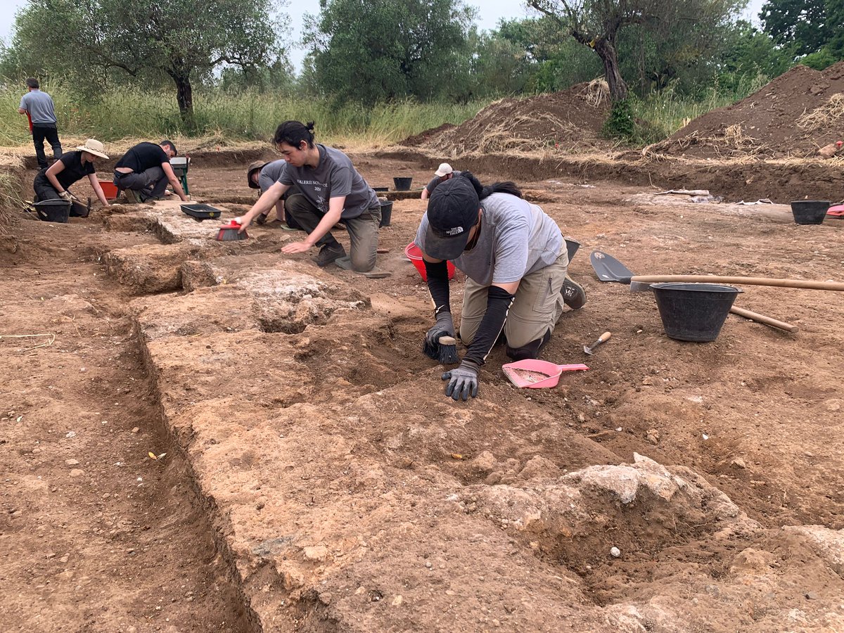 The walls of the taberna are beginning to emerge in the excavations in the forum at @FaleriiNovi @stephenjohnkay @dr_bone_lady @emlynkd @SASNews @LondonU