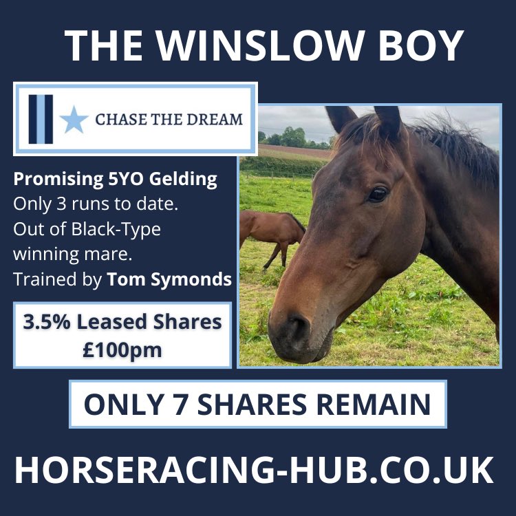 hub_horse's tweet image. Only 7 shares remain in THE WINSLOW BOY! Offered by @_ctdracing, trained by @symondsracing a 3.5% lease share is only £100pm! He’s a promising 5yo gelding with only 3 runs to date. Out of a black-type winning mare, he’s one to get involved in. For all info horseracing-hub.co.uk/horse/the-wins…
