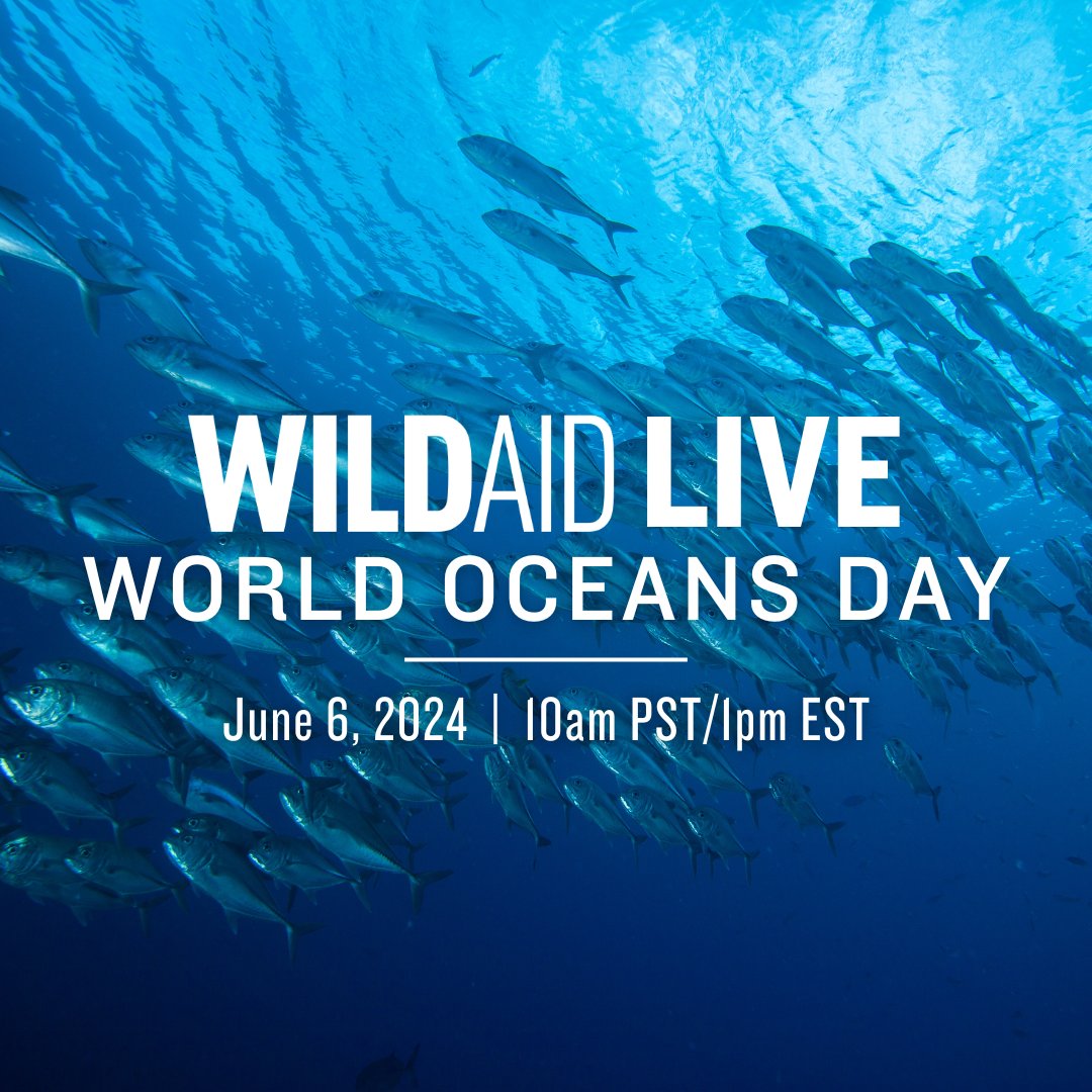 Our special #WorldOceansDay livestream is just one week away! 🌊🐠 Join us on June 6 at 10am PST/1pm EST as we celebrate the ocean, the ecosystem that gives us the air we breathe, the food we eat, & our planet’s most important climate control. Register: us02web.zoom.us/webinar/regist…