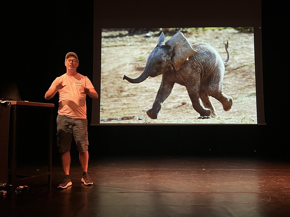 'Little elephants everywhere'
Awesome talk from @thruflo with a great story including baby elephant, Shetland ponies, moon boots, and squeezing Postgres into the browser.