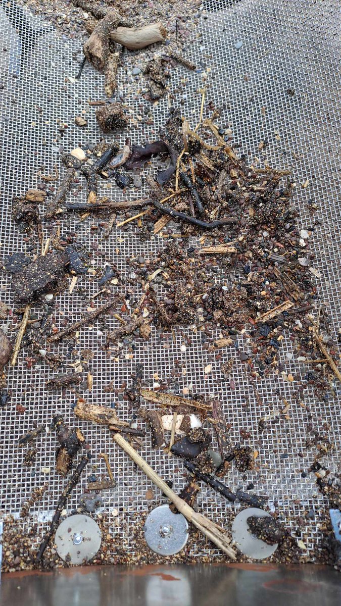 Our S2 enrichment pupils have taken their beach clean-up efforts to a new level with a handmade nurdle machine! It sifts through the sand &amp; collects an impressive amount of nurdles &amp; microplastics which were removed from the beach #STEM #YoungSTEMLeaders #BeachClean #Nurdle