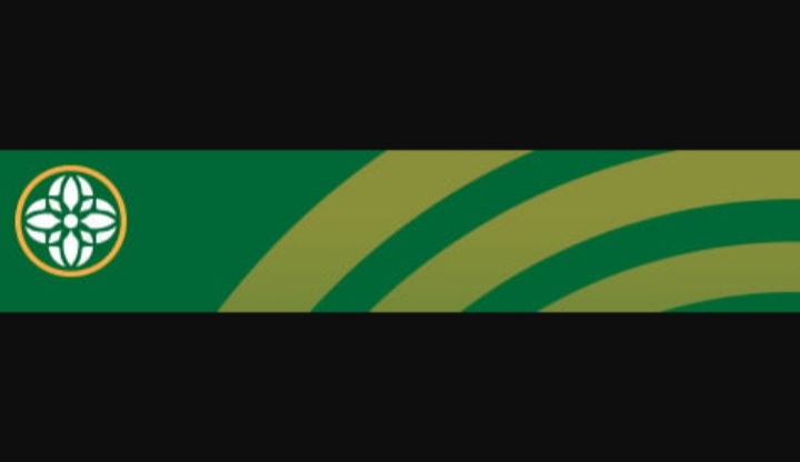 TheVertigoVixen tweet media