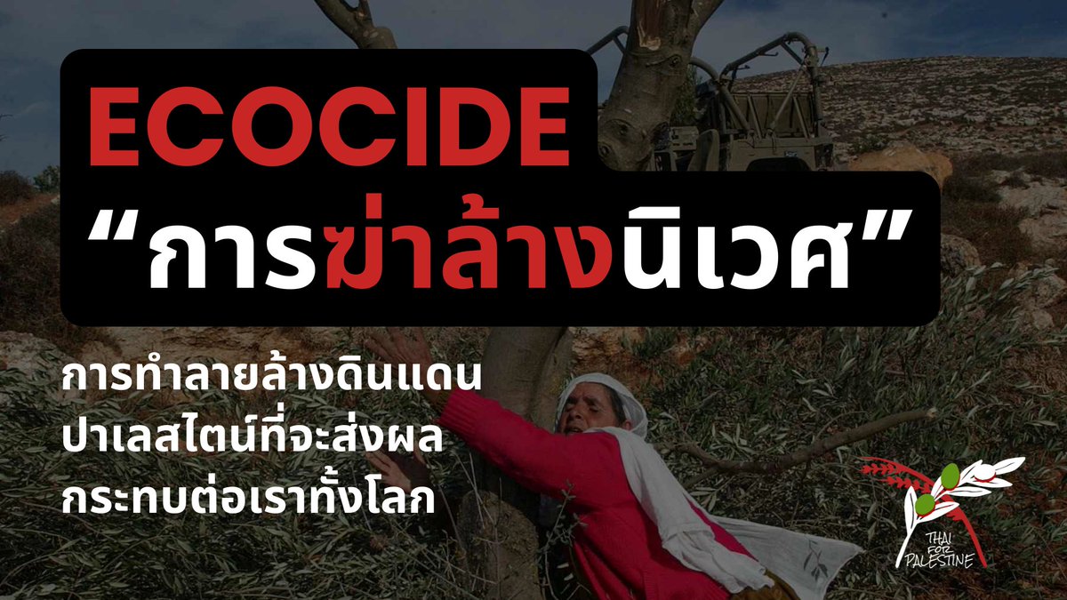 [บทความ: #Ecocide “การฆ่าล้างนิเวศ”: การทำลายล้างปาเลสไตน์ที่จะส่งผลกระทบต่อเราทั้งโลก]

การฆ่าล้างนิเวศจึงไม่อาจแยกออกจากการฆ่าเผ่าพันธุ์ชาวปาเลสไตน์ได้ และนี่คือความจำเป็นของพวกเราที่จะต้องตระหนักถึงผลกระทบทางสิ่งแวดล้อมที่เกิดขึ้น

#ปาเลสไตน์

อ่านต่อ: thaiforpalestine.carrd.co/#article008-ec…