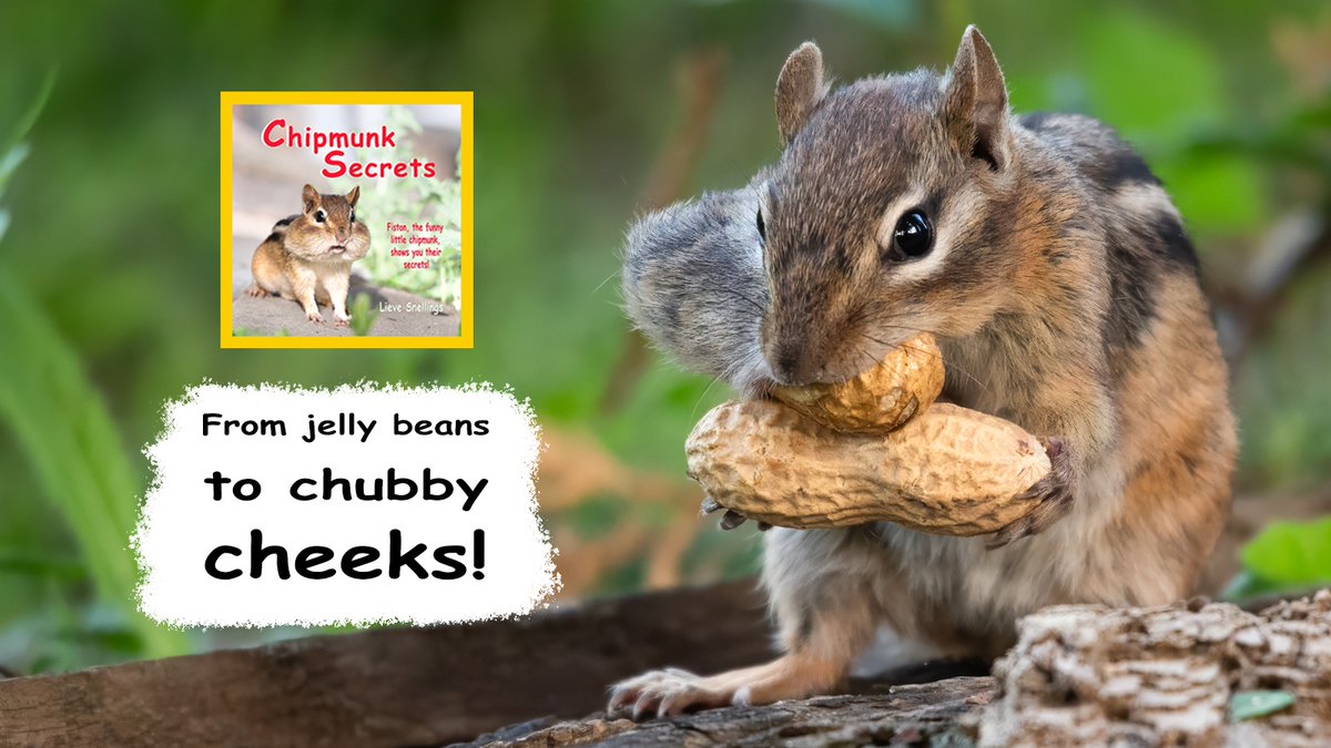 Have you ever wondered what it's like to have cheeks like a #chipmunk, where food stashes can rival a treasure trove? This captivating non-fiction picture book is an adventure your kids won’t want to miss!
mybook.to/6o8X
#LearningIsFun #ChildrensBook #MustRead #kidlit