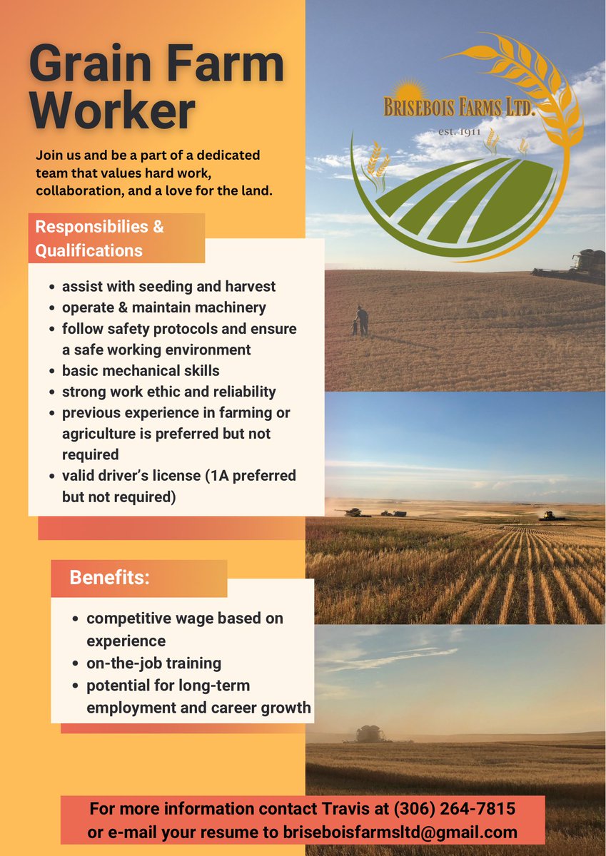 We are looking to add a team member!